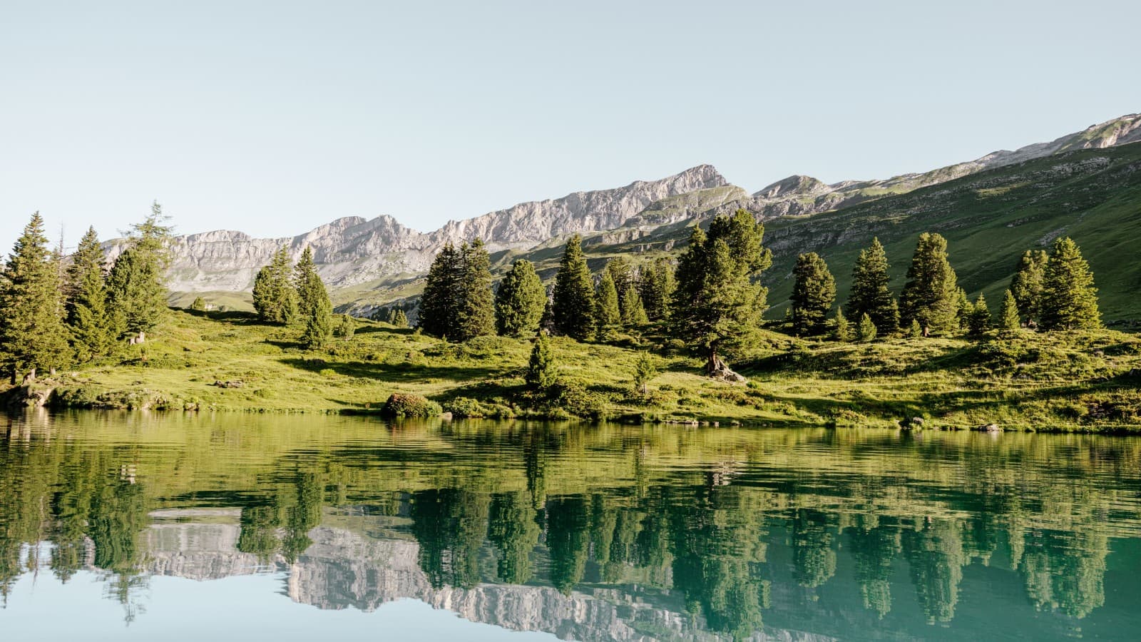 Bærekraft Bærekraft